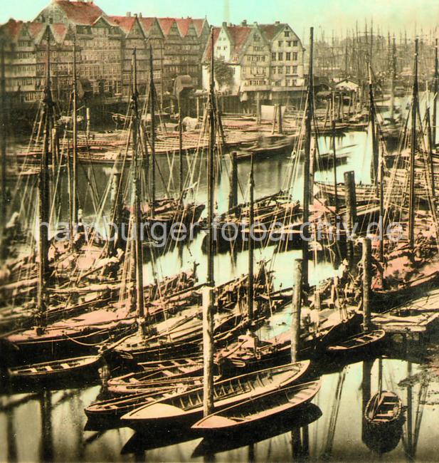 0199 Dicht an dicht liegen die Ewer und Schuten an den Holzstämmen im Binnenhafen.  | Binnenhafen - historisches Hafenbecken in der Hamburger Altstadt.